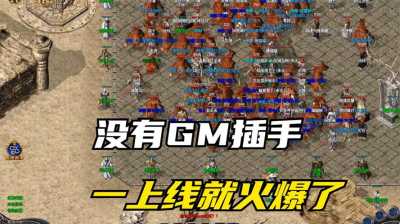 传奇 SF 中的 GM 团队有哪些特点？