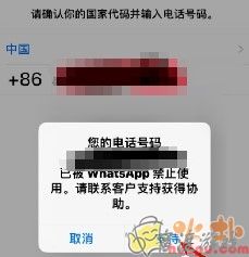 WhatsApp中文版下载安装2023最新版-WhatsApp中文版官网免费下载